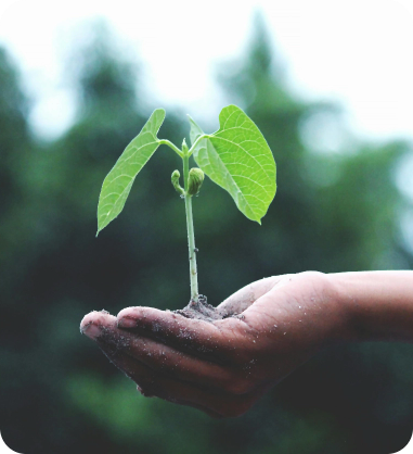 cuidado-del-medioambiente-consultoria-de-medioambiente